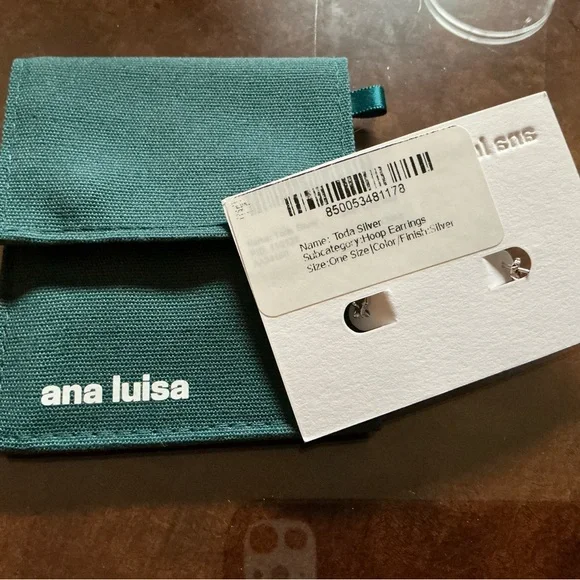 Ana Luisa silver Toda earrings - Picture 5 of 5